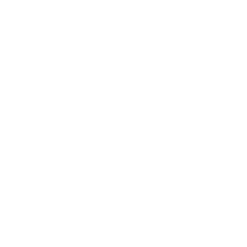 victorinox